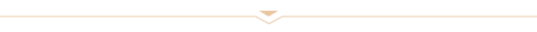 skill detail divider